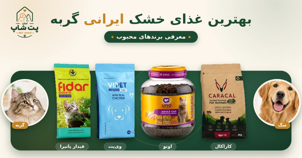 بهترین غذای خشک گربه ایرانی؛ مقایسه فیدار، مفید، ویپت اونو و کاراکال
