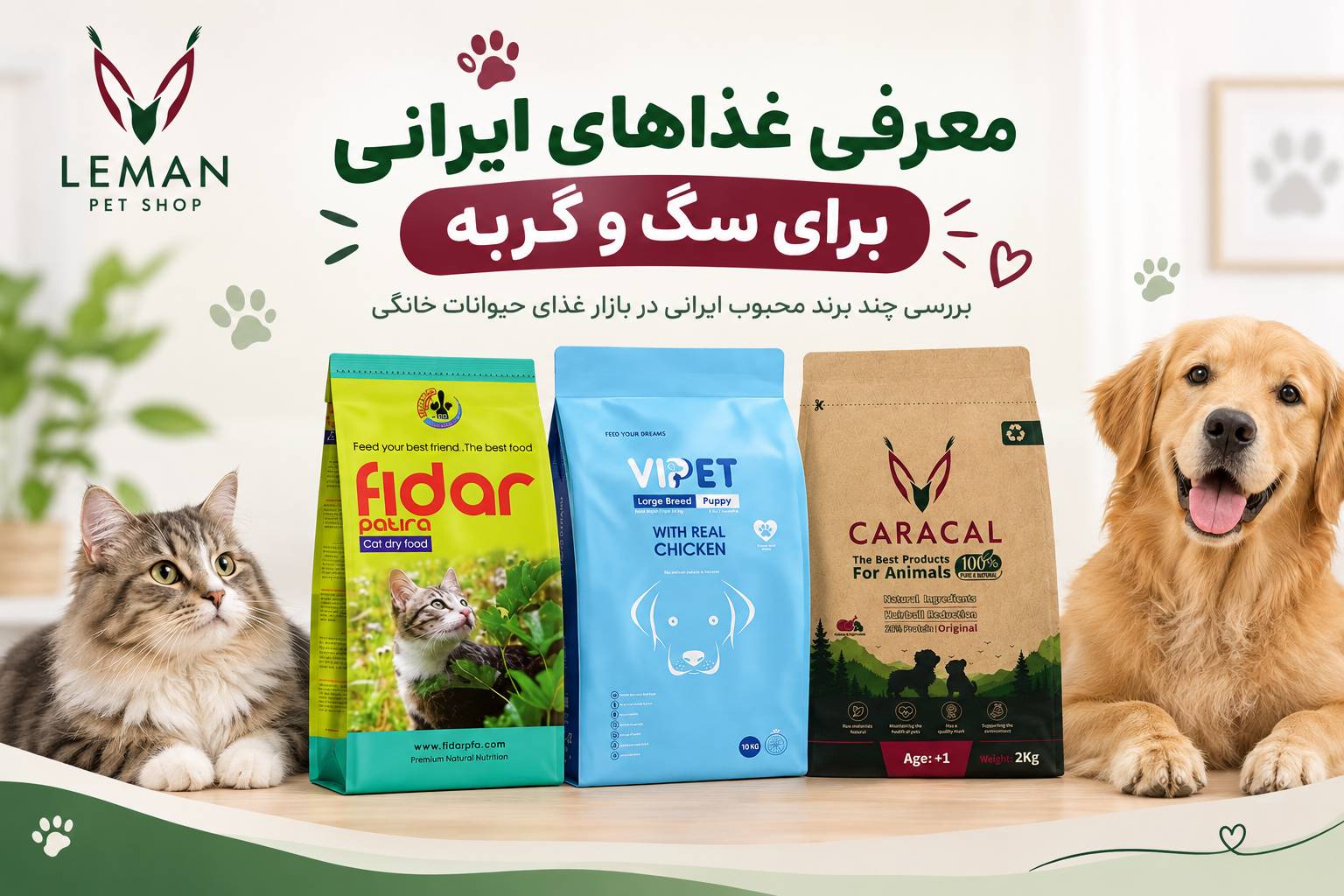 بهترین غذای خشک گربه ایرانی؛ مقایسه فیدار، مفید، وی‌پت و کاراکال