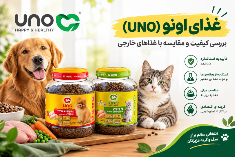 غذای اونو (UNO) چیست؟ بررسی کیفیت و مقایسه با غذاهای خارجی