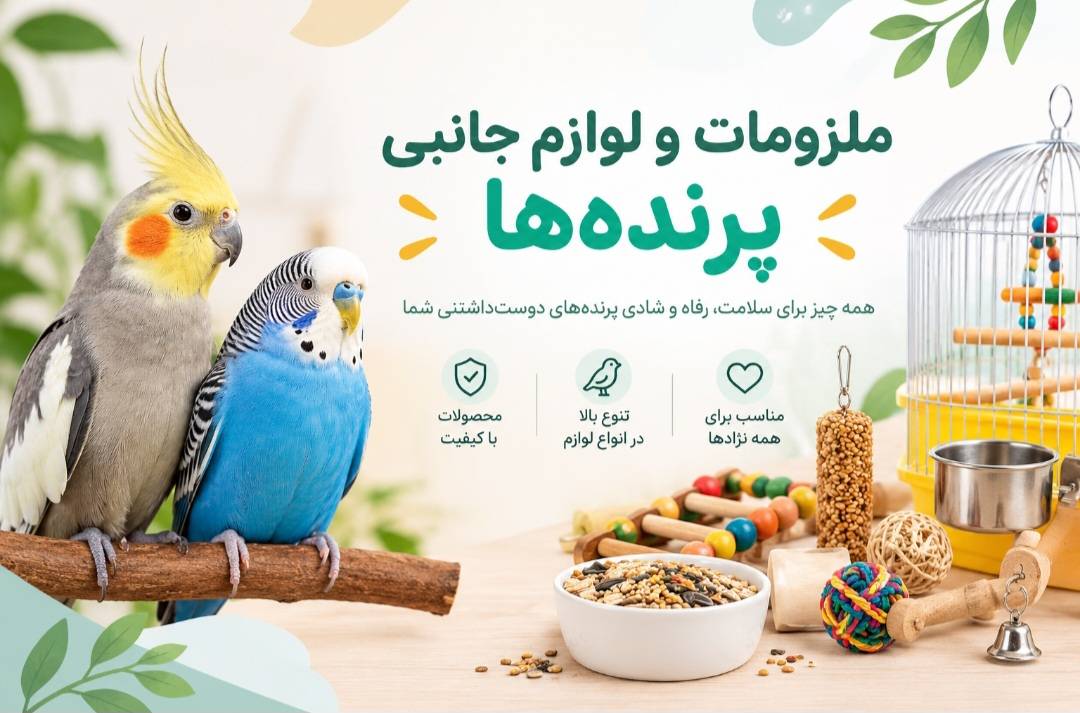 هنگام خرید پرنده چه لوازمی لازم است؟ | چک‌ لیست وسایل ضروری پرنده