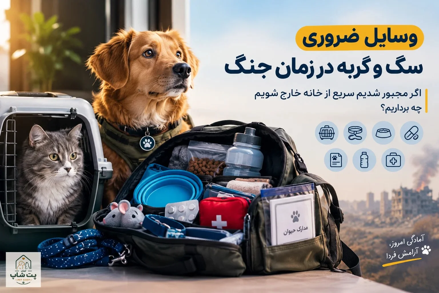وسایل ضروری سگ و گربه در زمان جنگ؛ اگر مجبور به خروج فوری شدیم چه برداریم؟
