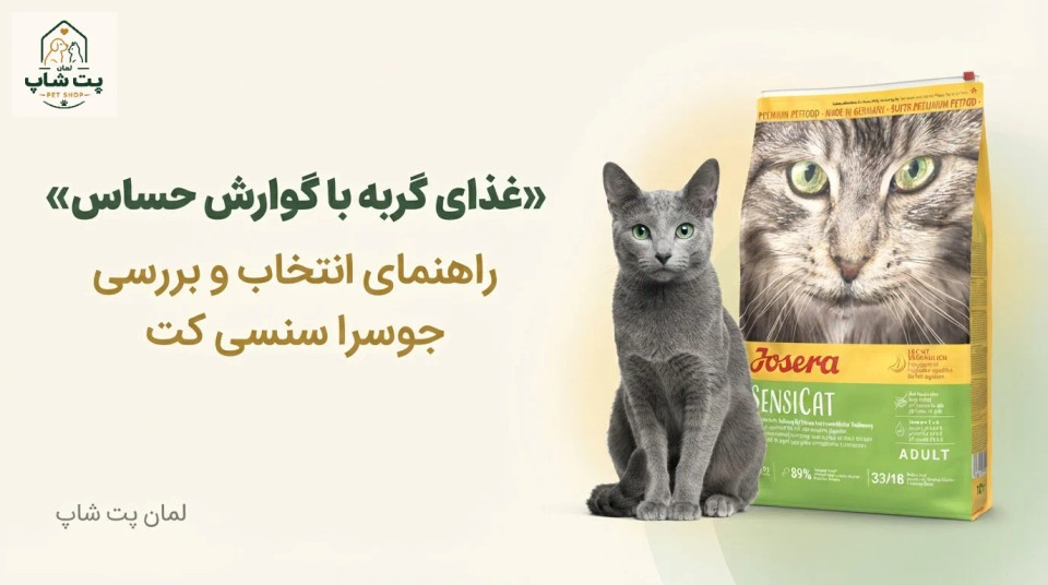 غذای گربه با گوارش حساس؛ راهنمای انتخاب و بررسی جوسرا سنسی کت