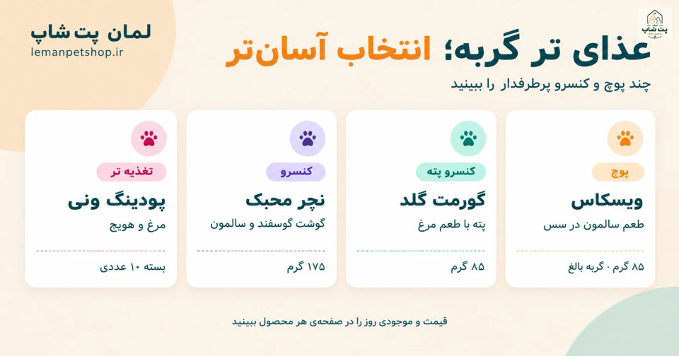 غذای تر گربه؛ تفاوت پوچ و کنسرو، مزایا و نحوهی انتخاب