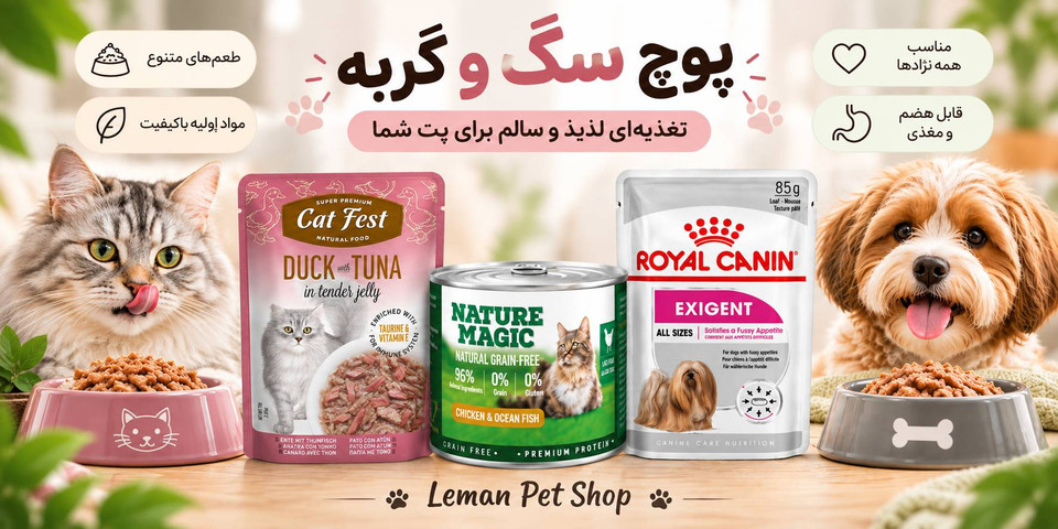 پوچ بهتر است یا کنسرو ؟ کدام برای گربه بهتر است؟