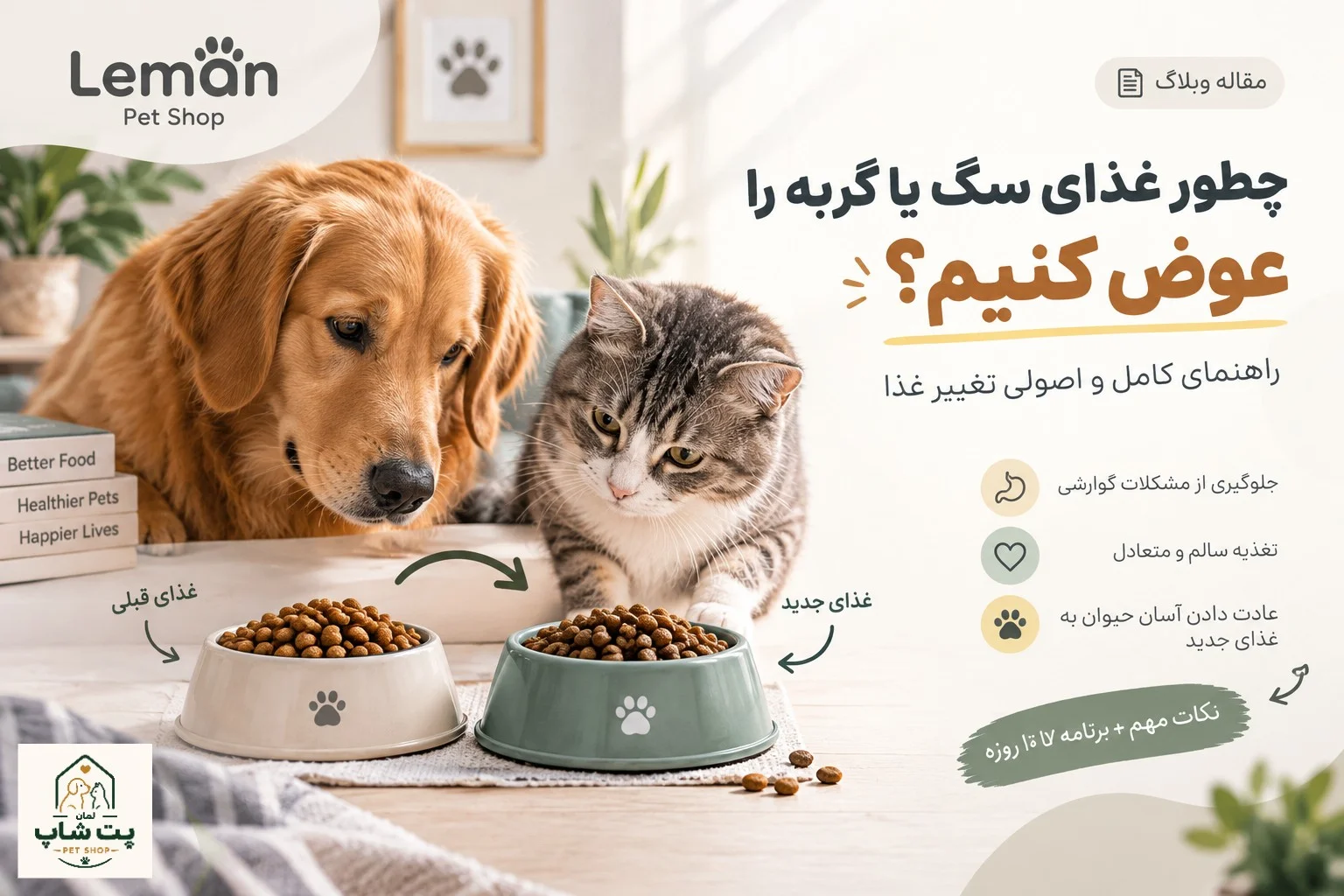 چطور غذای سگ یا گربه را عوض کنیم؟ راهنمای تغییر غذا