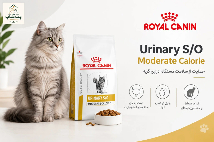 غذای گربه رویال کنین Urinary S/O Moderate Calorie چیست؟ تفاوت با Urinary Care