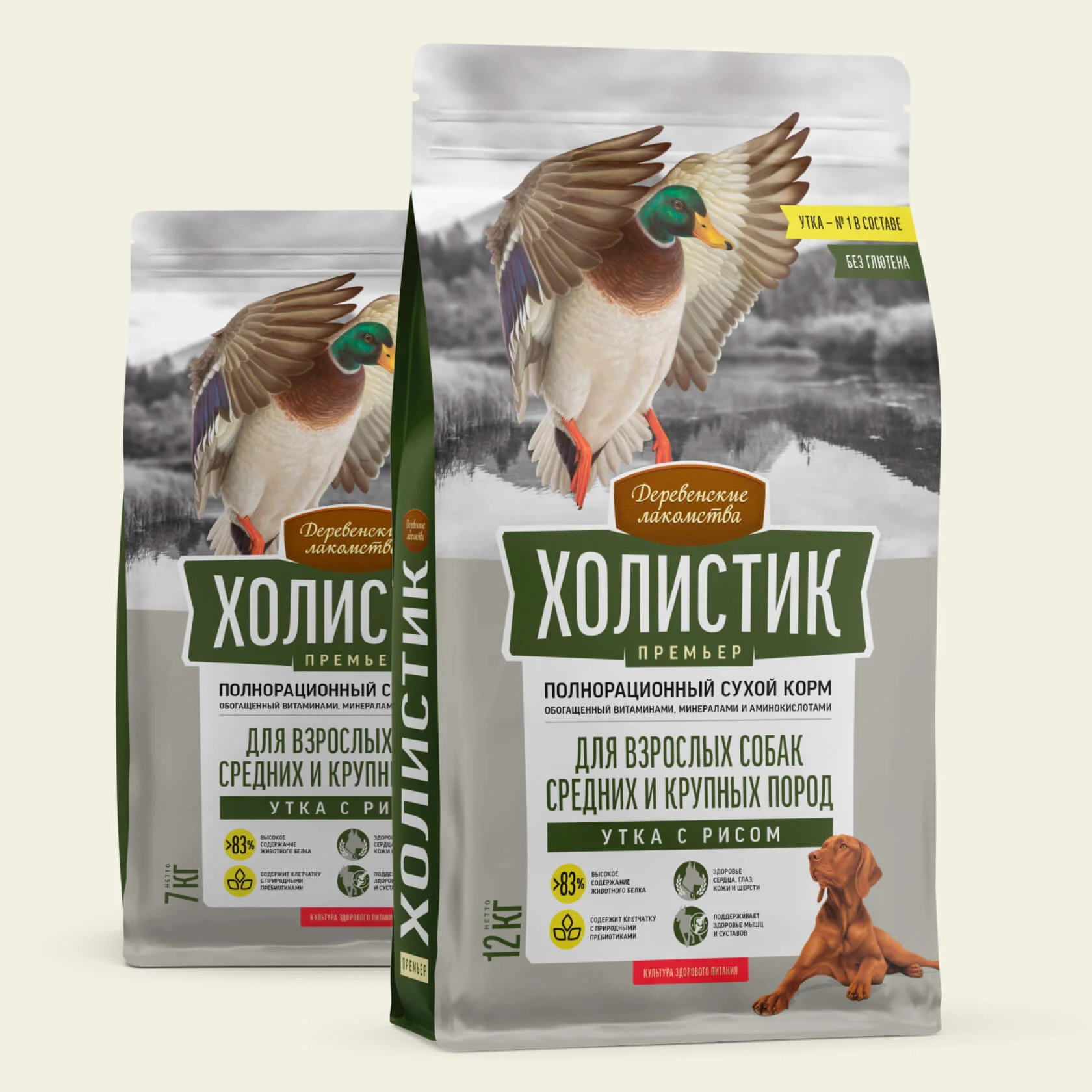 غذا سگ متوسط و بزرگ بالغ داگ فست گوارش حساس | Dog fest با طعم اردک وزن 2kg
